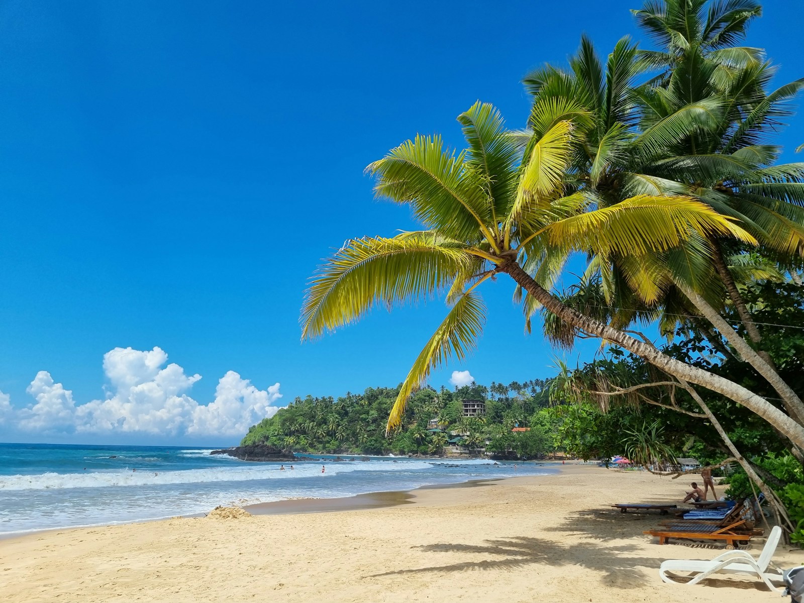 Palm-lined Mirissa beach in Sri Lanka
